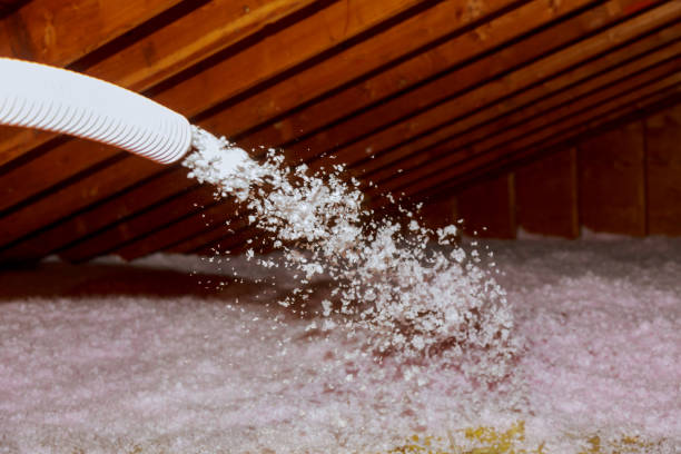Best Affordable Insulation Services  in Plains, TX