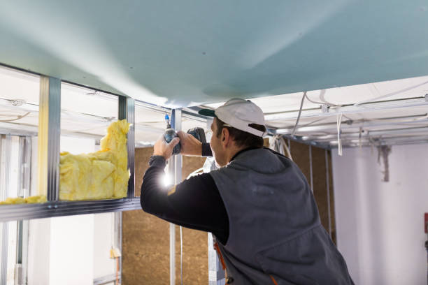 Insulation Repair Services in Plains, TX