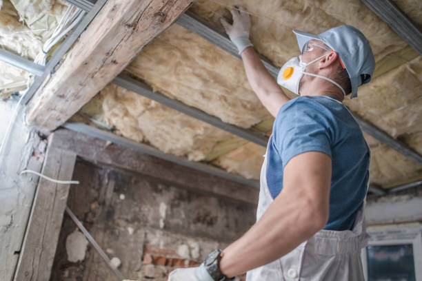 Best Insulation Removal  in Plains, TX