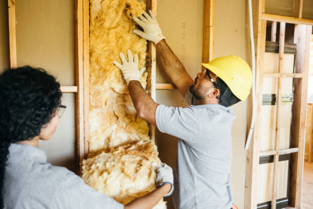 Best Garage Insulation Installation  in Plains, TX