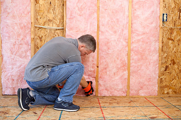 Best Wall Insulation Contractor  in Plains, TX