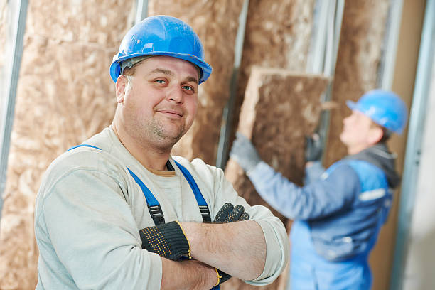 Best Professional Insulation Contractor  in Plains, TX