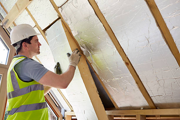 Best Professional Insulation Contractor  in Plains, TX